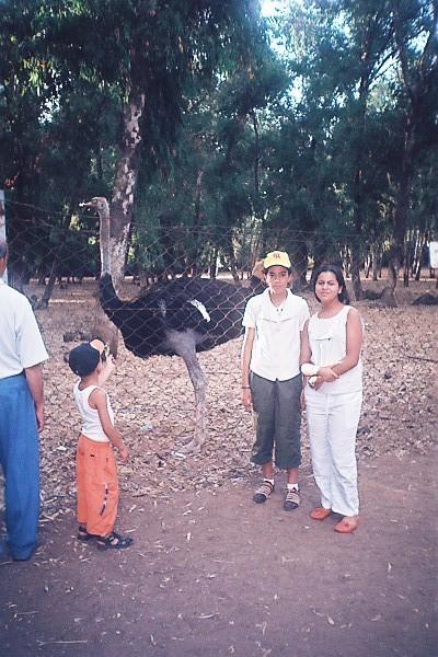 zoo