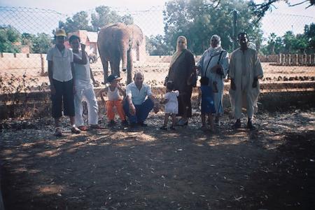 zoo